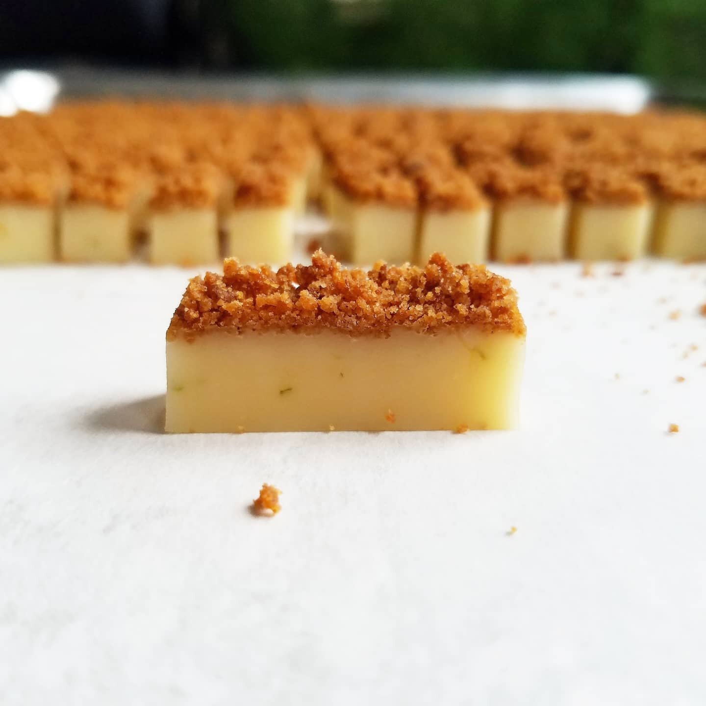 It's Pi(e) time! Pi Day is just around the corner and to celebrate this wonderful made up holiday filled with pizza pies and fruit pies we have brought back the full collection of pie candies! Key Lime Pie, Apple Pie, Lemon Meringue Pie, and Chocolat